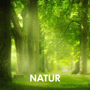 Gesundes Wohnen mit Keramik - Unsere Initiative - Natur